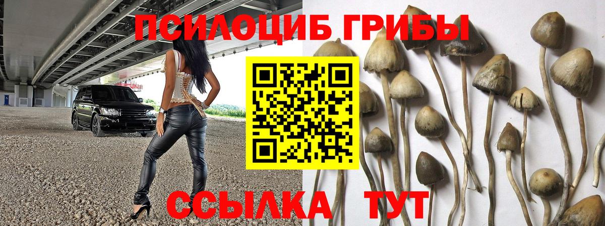 Галлюциногенные грибы мухоморы Миллерово
